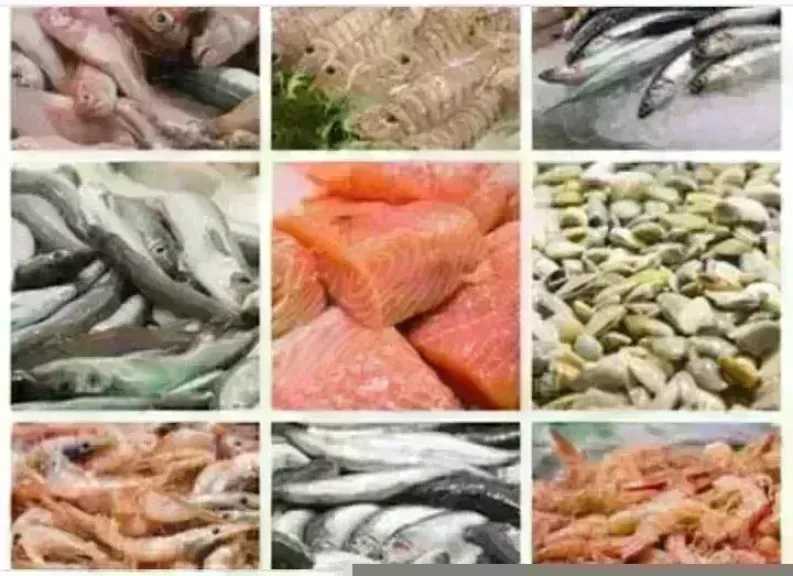 أسعار السمك اليوم الخميس بسوق العبور.. الجمبري دوخ الناس 