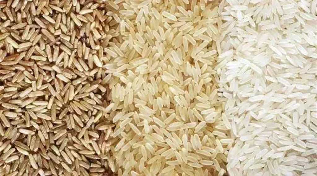 سعر الأرز الشعير اليوم الأحد عند التاجر.. الطن وصل لكام 