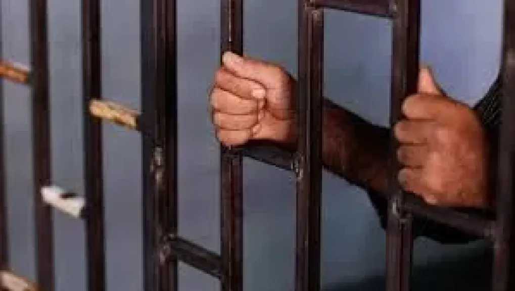 الداخلية تكشف ملابسات هروب سائق نقل بعد اصطدامه بسيارة ملاكي بالشيخ زايد 