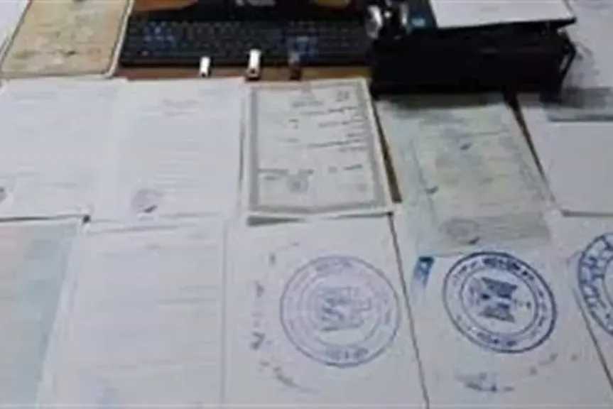 براءة 5 متهمين فى قضية تزوير 2280 محرر وشهادات جامعية بالقاهرة 