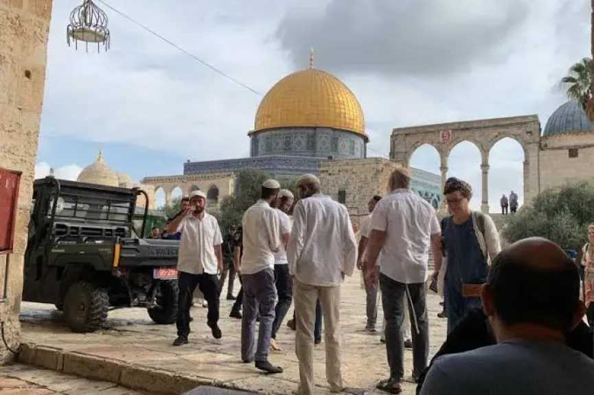 251 مستوطنا يقتحمون المسجد الأقصى بحراسة الشرطة الإسرائيلية 