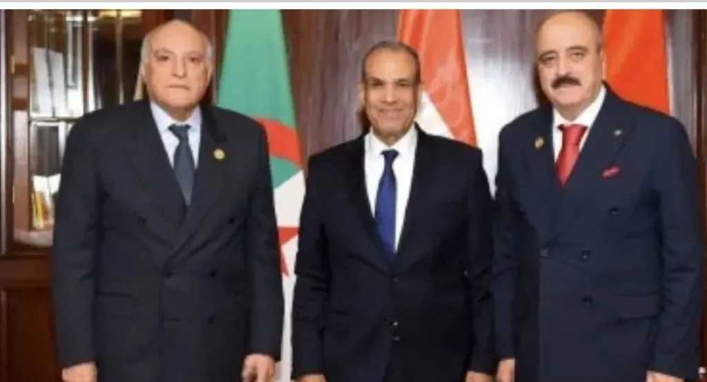 وزير الخارجية يعقد اجتماعًا حول ليبيا مع نظيريه الجزائري والتونسي 