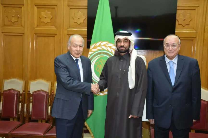 أبو الغيط: حماية حقوق الإنسان ركيزة أساسية للاستقرار والتنمية 