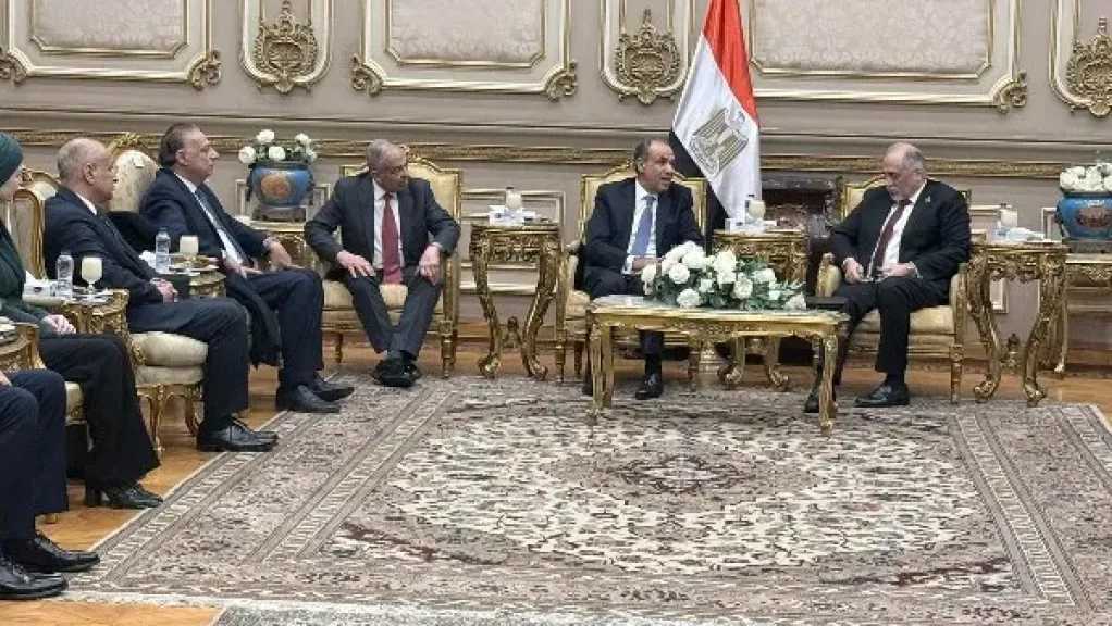 وزير الخارجية: لابد من التنسيق بين السلطة التشريعية والتنفيذية في الفترة المقبلة 