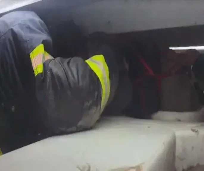 الأمن ينقذ عاملين سقطا داخل خزان مياه فارغ بالقاهرة 