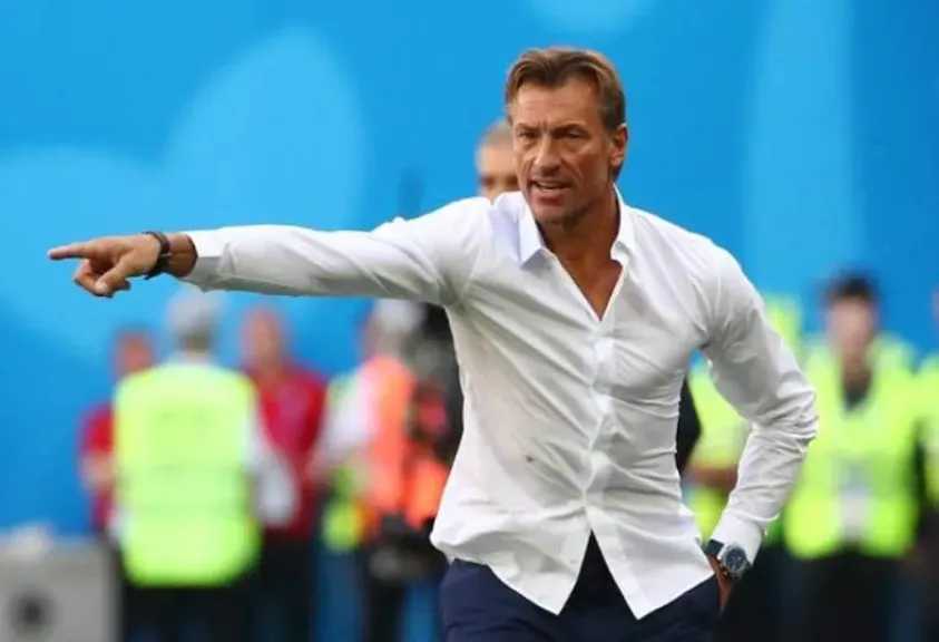 صدمة في الأخضر.. حقيقة رحيل هيرفي رينارد قبل مونديال 2026 