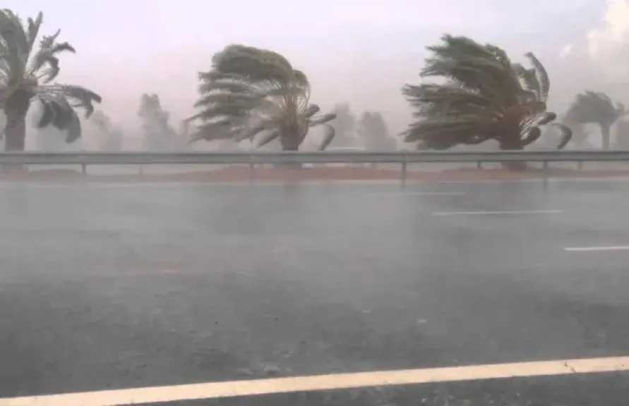 الوادي الجديد ترفع درجة الجاهزية لمواجهة الطقس السيئ وتكثف جهود استعادة الخدمات 