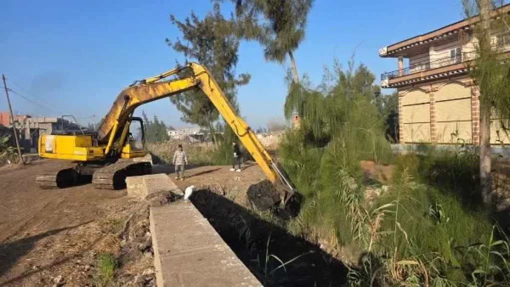 خلال 15 يومًا.. الزراعة تزيل 72 تعديًا على الأراضي وأملاك الدولة وتكثف أعمال التطهير 