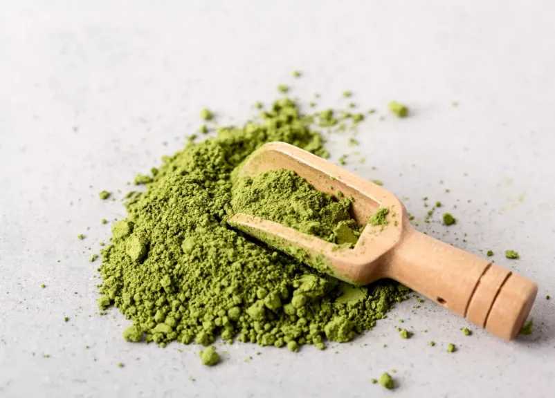 السدر المطحون.. سر طبيعي لجمال الشعر ونضارة البشرة 