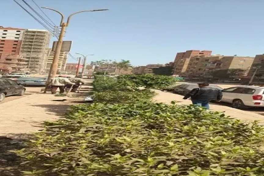 ضمن المرحلة الرابعة من المبادرة الرئاسية 100 مليون شجرة .. زراعة 210 شتلات متنوعة بمركزي مطاي وبني مزار بالمنيا 