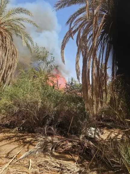 حريق يلتهم مزارع نخيل في الوادي الجديد.. والحماية المدنية تتدخل 