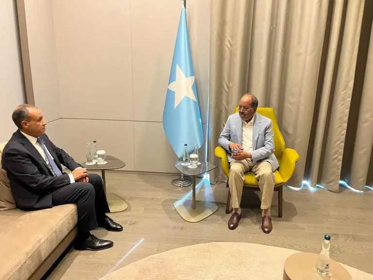 وزير الخارجية يلتقي الرئيس الصومالي ويؤكد مواصلة دعم مصر للصومال وتعزيز الشراكة الاستراتيجية 