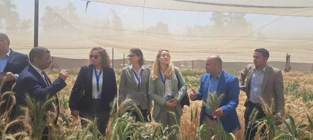 هيئة الطاقة الذرية تستقبل وفدًا ألمانيًا رفيع المستوى لتعزيز التعاون العلمي المشترك 