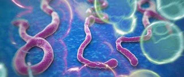 فيروس «إيبولا» يظهر مجددًا واكتشاف إصابة جديدة