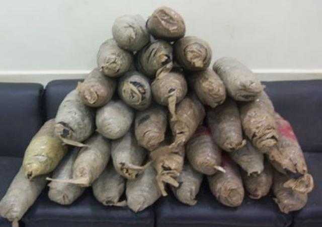 سقوط ”إمبراطور الكيف” بالإسماعيلية.. قبل ترويج 230 كيلو مخدرات