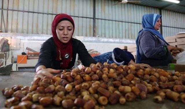 ننشر استعدادات«التجارة» لأول ملتقى تسويقي مصري للتمور بالوداي الجديد