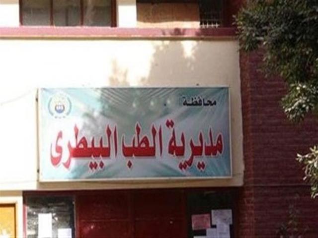 أرشيفية
