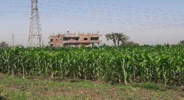 الخدمات الزراعية: الأراضى أمن قومي ولا يجوز التعدى عليها