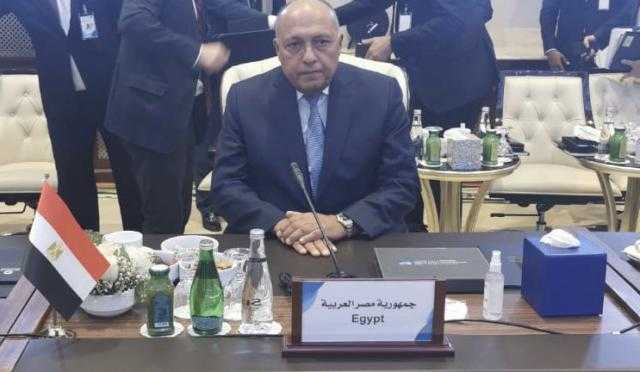 خروج القوات الأجنبية من أراضيها.. «شكري» يكشف رؤية مصر لاستقلال ليبيا
