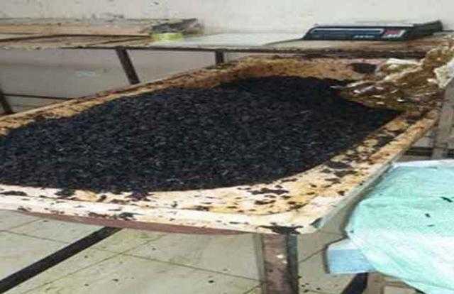 مباحث التموين تضبط 10 أطنان تبغ معسل مجهول المصدر