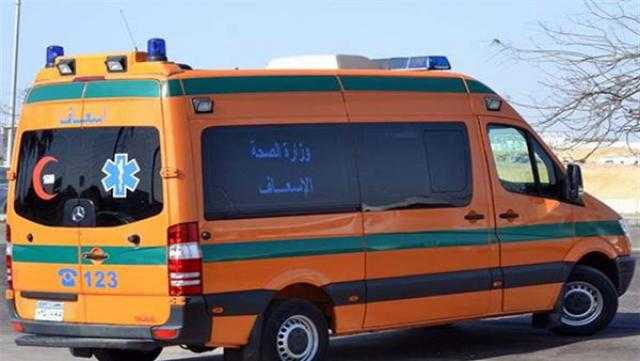 تحريات مكثفة لكشف غموض مقتل شابين «أبناء عمومة» بالدقهلية