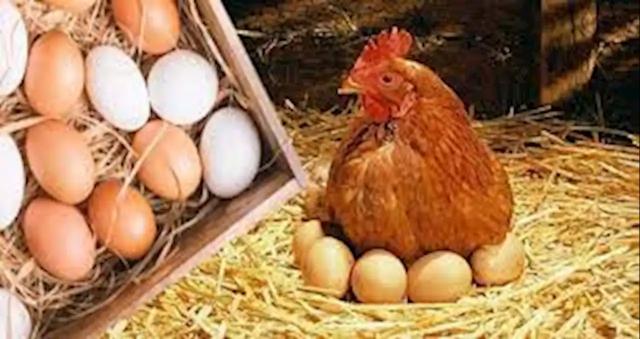 أرشيفية معبرة