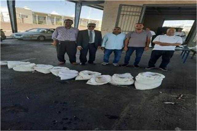 جمارك القاهرة: ضبط عدد من أقراص الكيبتاجون المخدرة