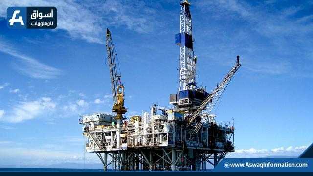 إينى تعلن عن ثلاثة اكتشافات جديدة فى الصحراء الغربية بمصر