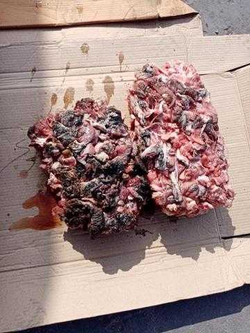 إحباط تهريب 19 طنًا من لحوم «تريمنج» بميناء الإسكندرية