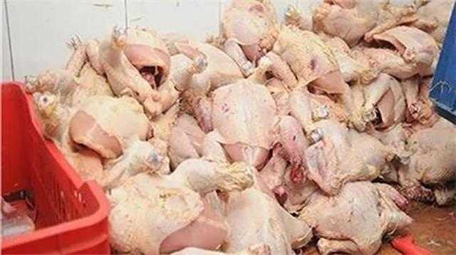 ضبط طن دواجن منتهية الصلاحية بالقاهرة