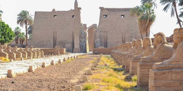 طريق الكباش الفرعوني