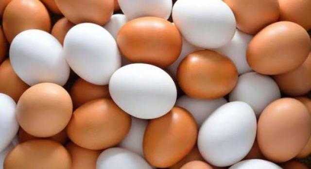 سعر كرتونة البيض في الأسواق يسجل 50 جنيهًا للأبيض و52 للأحمر و59 للبلدي