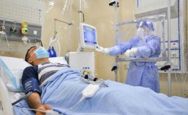 تحذيرات من نبتة سامة منتشرة داخل المنازل وخارجها
