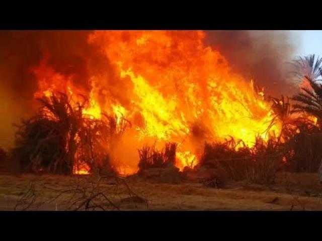 حريق في محول كهرباء بقرية أبو سمبل بأسوان