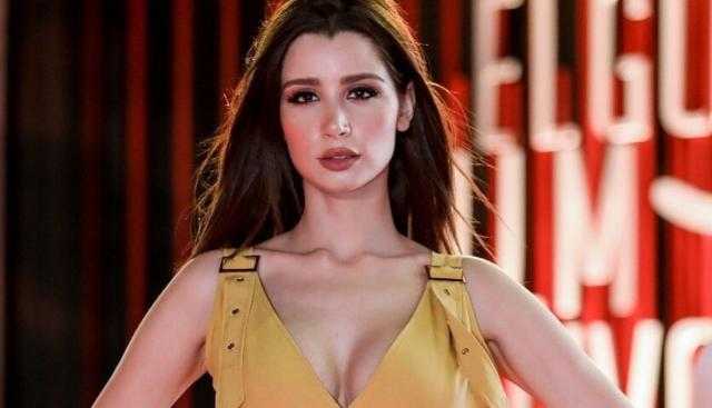 23 ديسمبر..  نظر دعوى العدل جروب ضد سارة التونسي