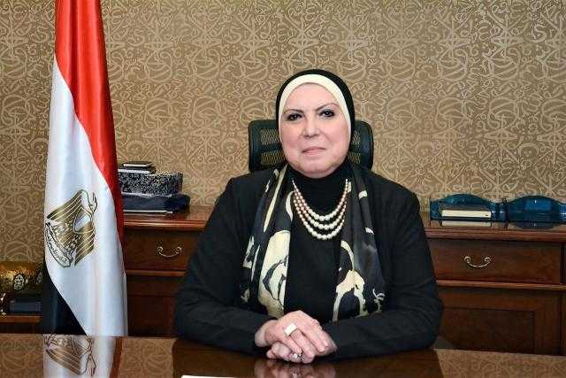 قرار وزاري بإعادة تشكيل مجلس الأعمال المصري الجزائري