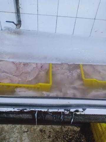 الجيزة.. ضبط 8 أطنان دواجن «فاسدة»