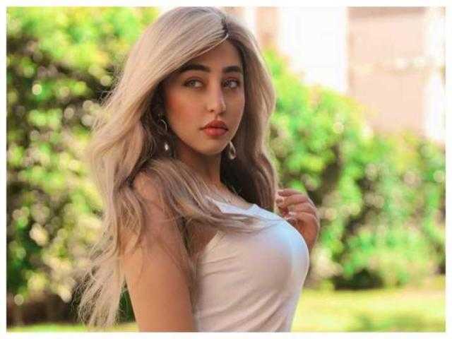 تأجيل استئناف فتاة «تيك توك» ريناد عماد على حبسها