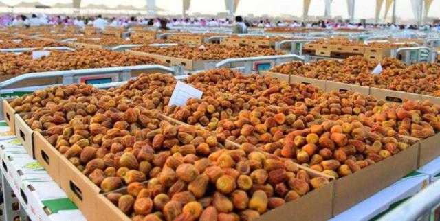 غدًا.. افتتاح المهرجان الدولي للتمور بالواحات البحرية