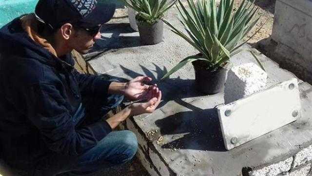 داعية: هذا سر زراعة الصبار بجانب المقابر