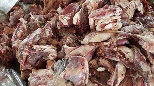 ضبط 1500 كيلو لحوم مجمدة غير صالحة بالإسكندرية