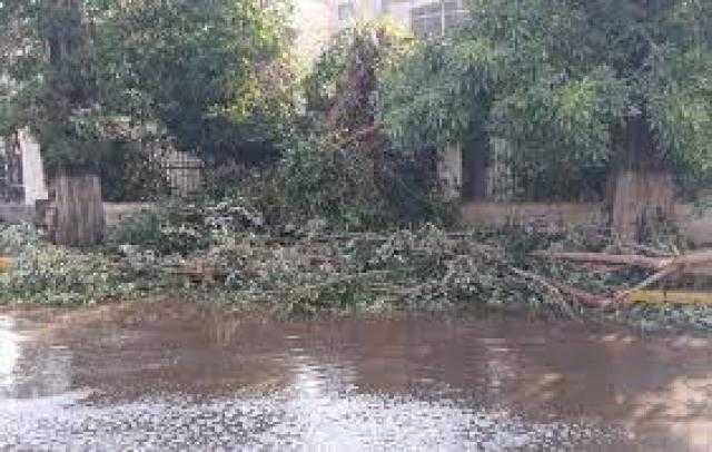 بعد سيول أسوان.. مفاجأة عن الشتاء المقبل