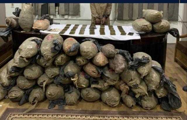 سقوط إمبراطور الكيف بأطفيح بحوزته 150 كيلو بانجو