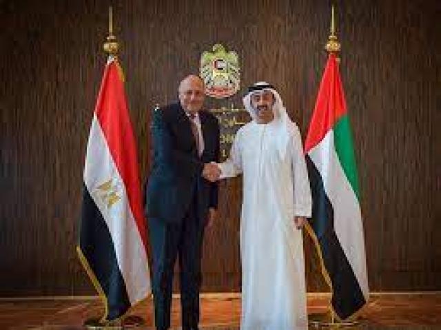 وزيرا الخارجية المصري والإماراتي