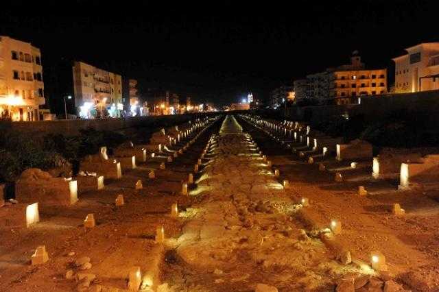 استعدادات «الكهرباء» النهائية لتأمين احتفالية طريق الكباش