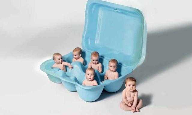 ما حكم تجميد البويضات للحقن المجهري؟ «الإفتاء» تُجيب