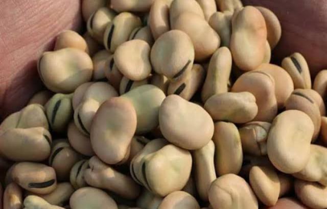 «مصر 2030» ترصد أسعار الفول اليوم الإثنين لدى المستهلك