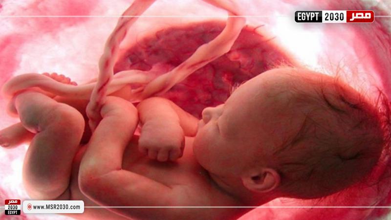 جنين والحبل السري