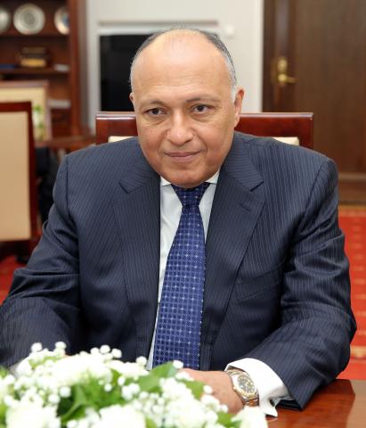 وزير الخارجية سامح شكري 