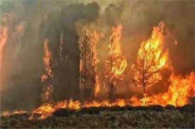 السيطرة على حريق نشب بجوار سور جامعة المنيا